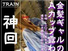 [乗車記録208] 派手め金髪ギャルのAカップ露わでガチフリーズする神回