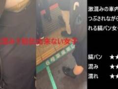 『シン・お触り紳士の日課』第百五十二話