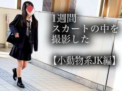 4K【5日間連続で逆さ撮り】小動物系K編