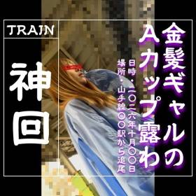 [乗車記録208] 派手め金髪ギャルのAカップ露わでガチフリーズする神回